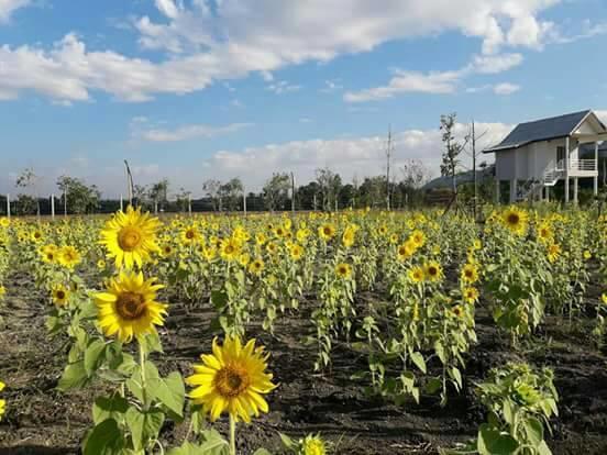 Baan Suan Geb Tawan Hotel Lopburi Kültér fotó